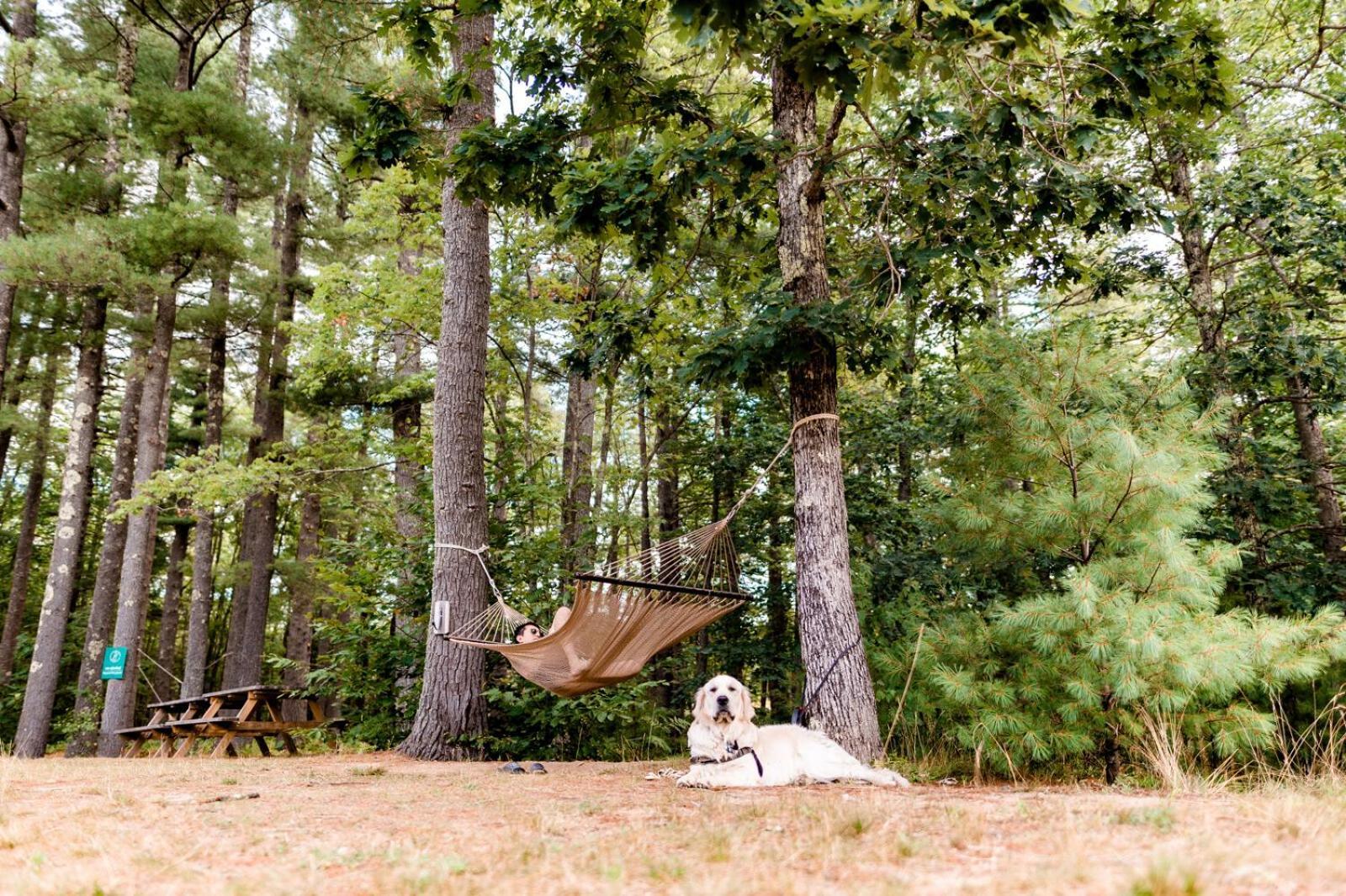 Huttopia Southern Maine แซนฟอร์ด ภายนอก รูปภาพ